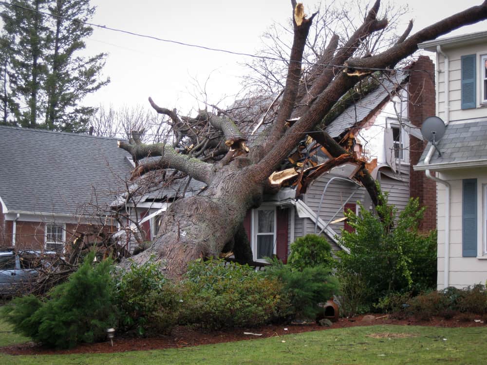 Storm Damage Clean Up Fairfield County, CT